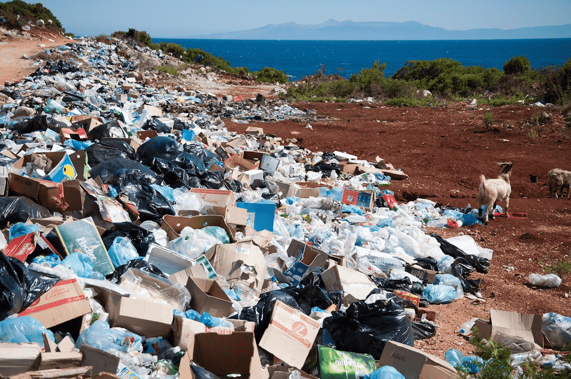 Illustration déchets sur une côte